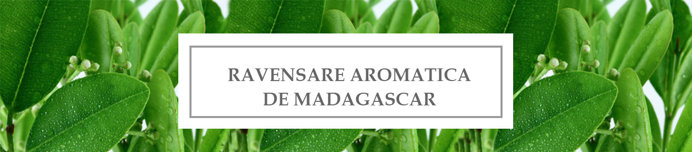 HE Ravensare Aromatica de Madagascar