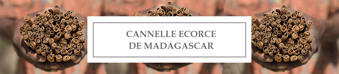 HE Cannelle Écorce de Madagascar