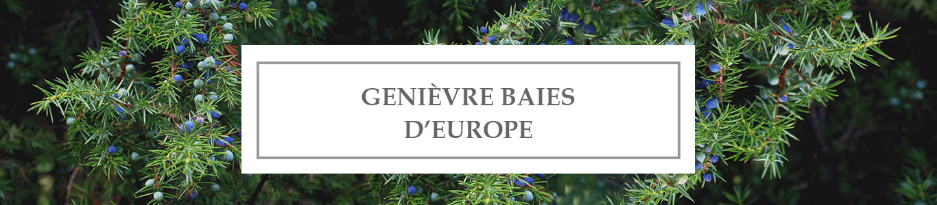 HE Genièvre Baies d’Europe