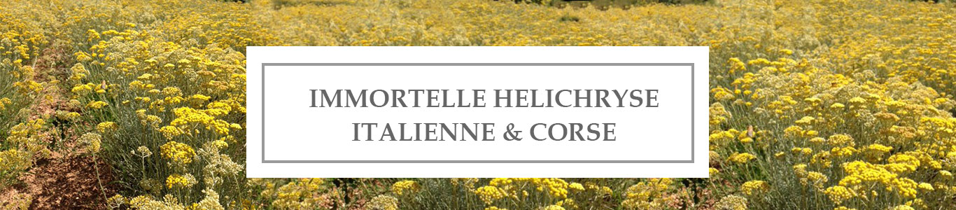 HE Immortelle Helichryse Italienne & Corse