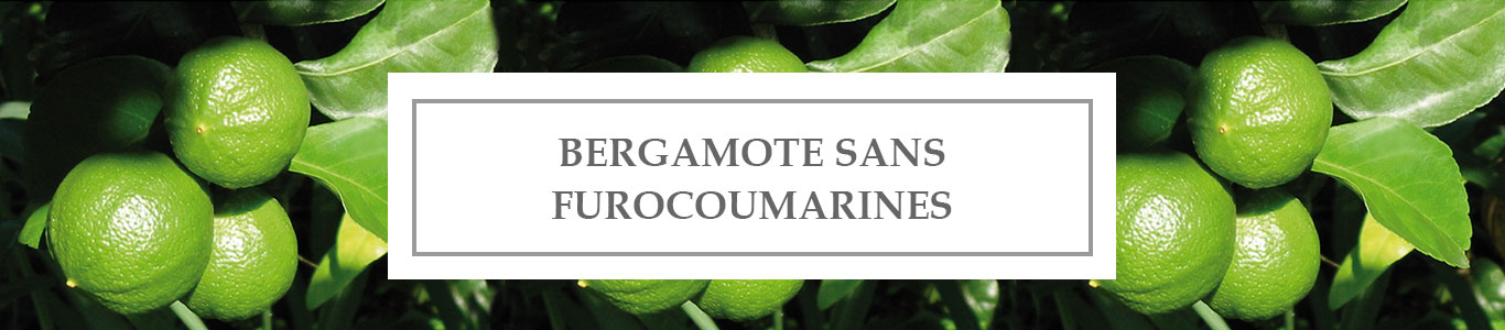 Bergamot EO (Furocoumarin free)