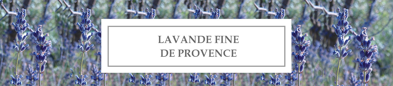 HE Lavande Fine de Provence