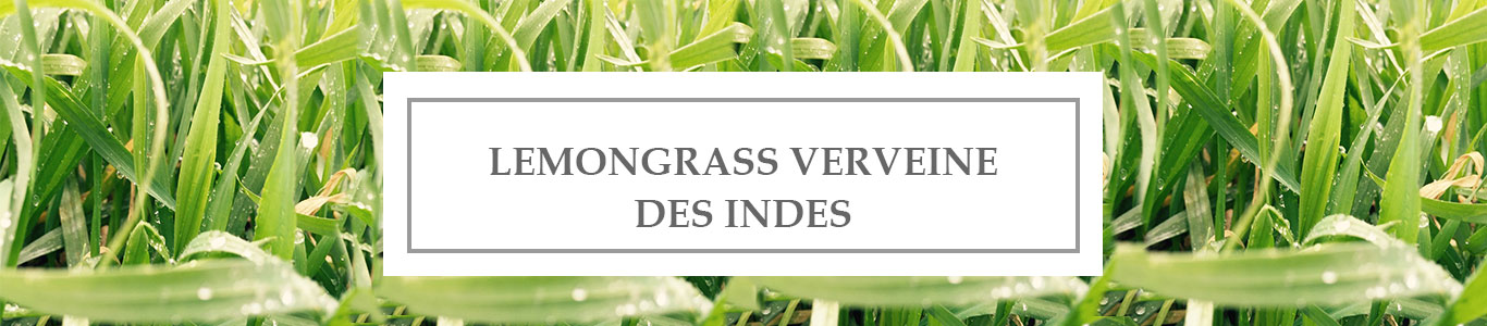 HE Lemongrass Verveine des Indes