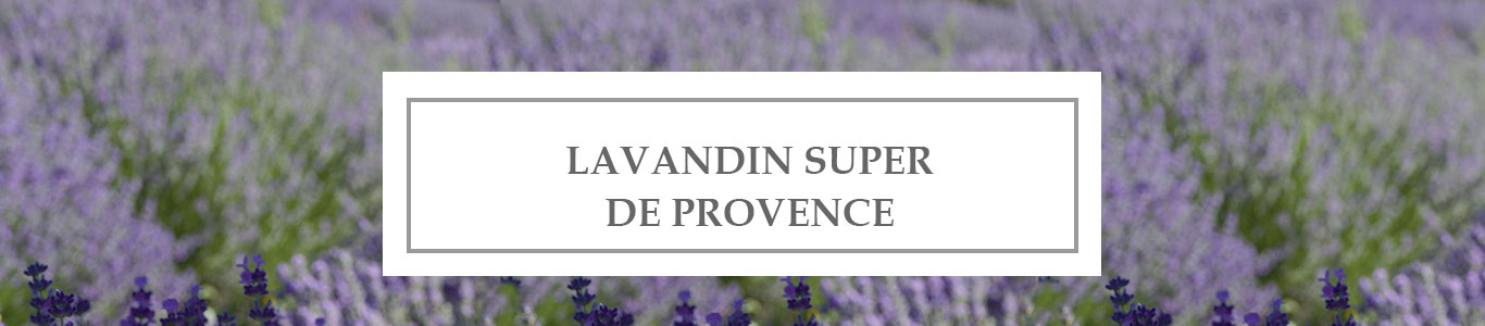 HE Lavandin Super de Provence