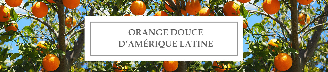 HE Orange Douce d’Amérique Latine