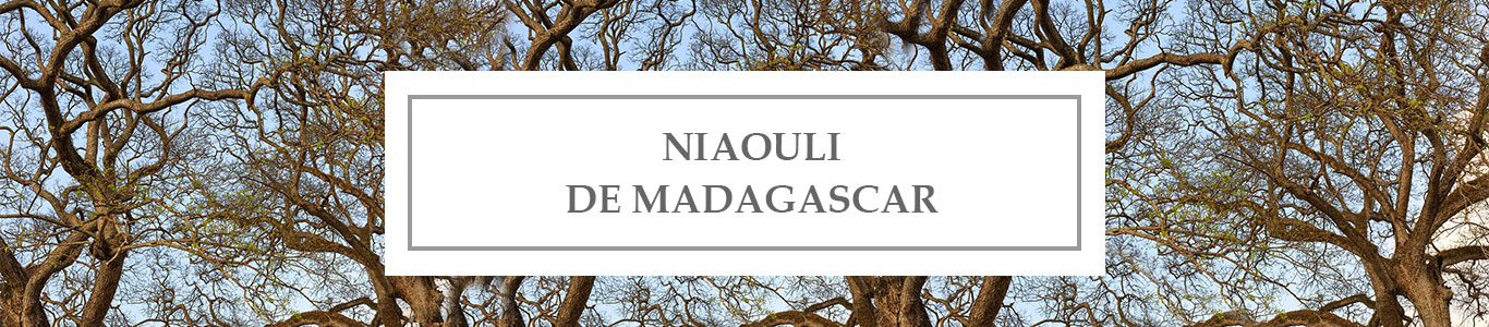 HE Niaouli de Madagascar