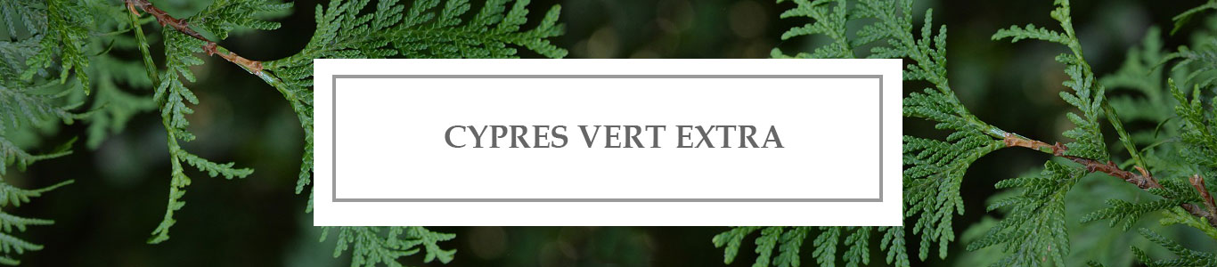 HE Cyprès Vert Extra