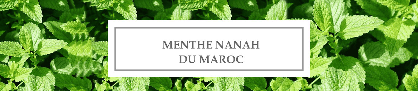 HE Menthe Nanah du Maroc