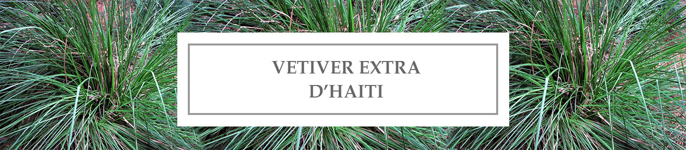 Vetiver Extra EO