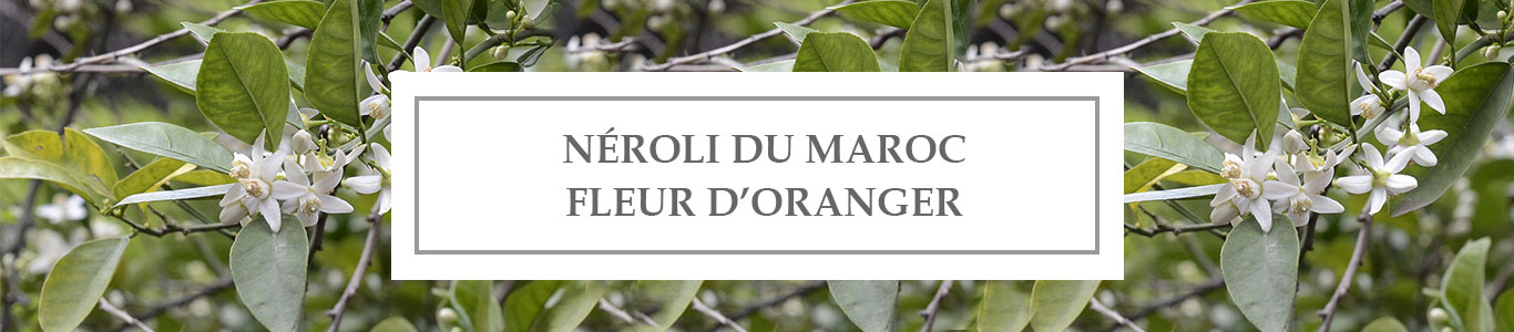 HE Néroli du Maroc Fleur d’Oranger