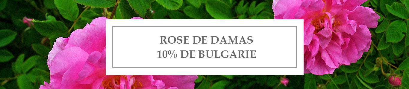 HE Rose de Damas 10% de Bulgarie