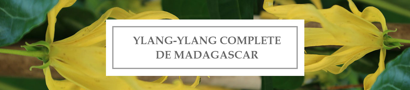 HE Ylang-Ylang Complète de Madagascar