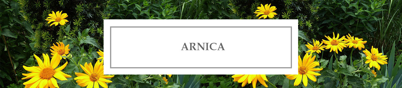 Huile de Soin Arnica