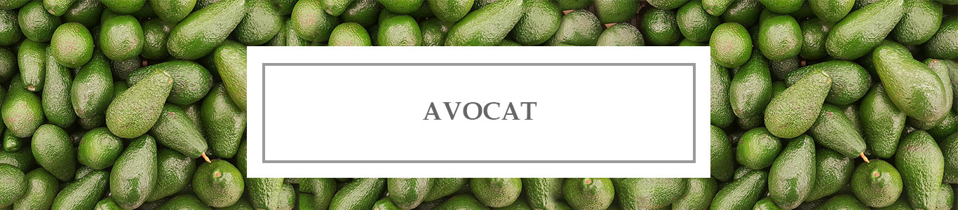 Huile de Soin Avocat