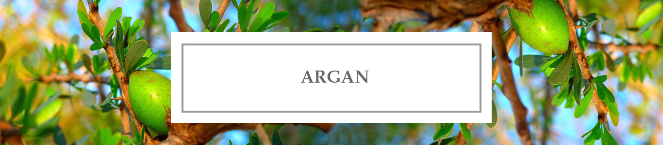 Huile Précieuse d’Argan