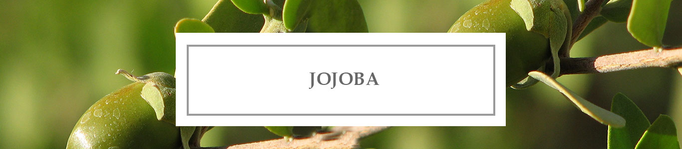 Jojoba Precious Oil