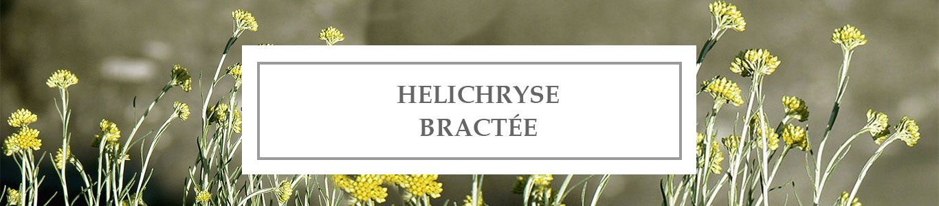 Helichrysum Bracteiferum EO